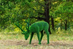 Топиари олень, пасется — газон Eco