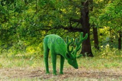 Топиари олень, пасется — газон Eco