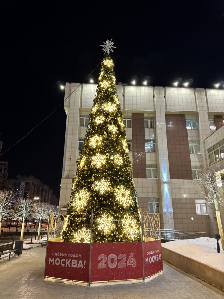 Ель каркасная «Уральская» - 17 м