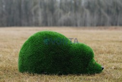 Топиари ёжик мамочка — Газон Deluxe