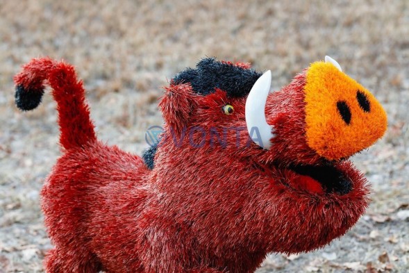 Топиари композиция лев с птичкой и кабан Валери — газон Deluxe + Eco