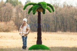 Топиари пальма — газон Eco + Premium
