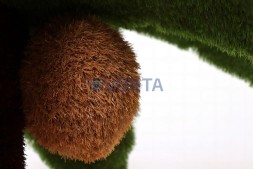 Топиари пальма — газон Eco + Premium