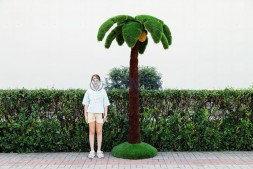 Топиари пальма маленькая, кокосовая, h=250см — газон Deluxe + Eco