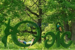 Топиари стела Южный — газон Eco