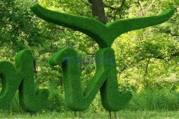 Топиари стела Южный — газон Eco