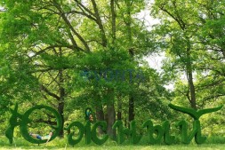 Топиари стела Южный — газон Eco