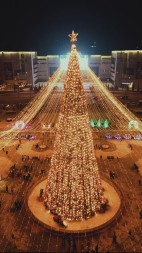 Ель каркасная «Уральская» - 19 м