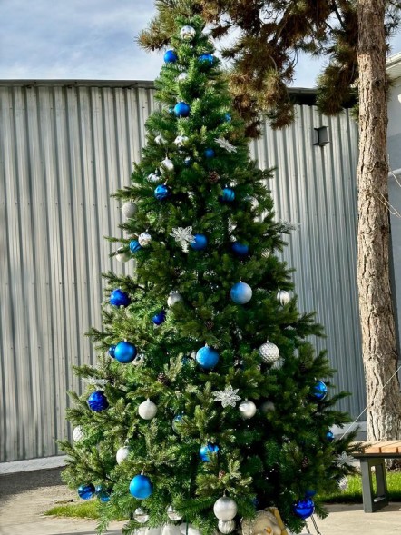 Ель ствольная «Альпийская Сказочная» - 9 м