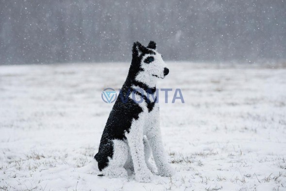 Топиари собака хаски, Пушнин — газон Eco