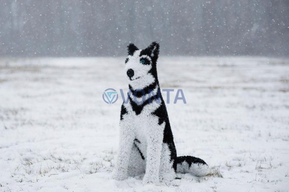 Топиари собака хаски, Пушнин — газон Eco