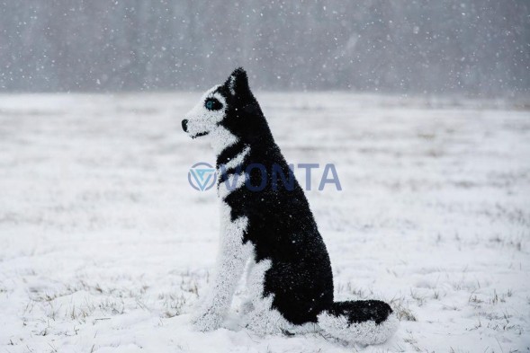 Топиари собака хаски, Пушнин — газон Eco