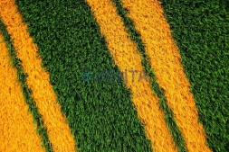 Топиари логотип круглый, №1 — газон Eco