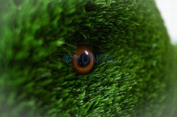 Топиари композиция зайцы, 3шт. — газон Eco