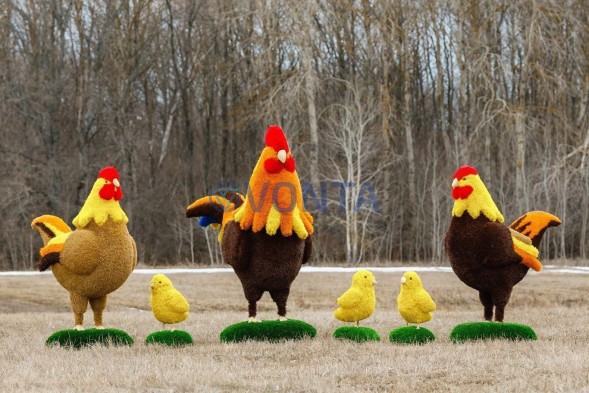 Топиари композиция курятник — газон Eco + Deluxe