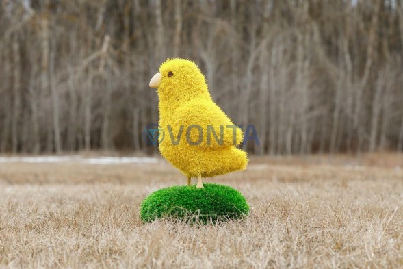 Топиари композиция курятник — газон Eco + Deluxe