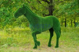 Топиари лошадь Пауль — газон Deluxe