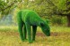 Топиари олень, самочка — газон Eco Green