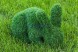 Топиари композиция зайцы, 5 штук — газон Eco