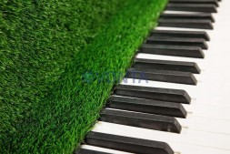 Топиари рояль Екатерины — газон Eco