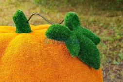 Топиари тыква — газон Eco