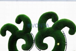 Топиари дерево Бруки, h=290 см — газон Deluxe