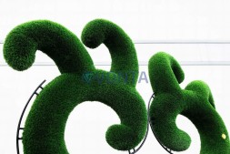 Топиари дерево Бруки, h=290 см — газон Deluxe