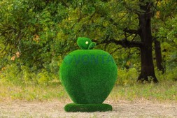Топиари яблоко — газон Eco
