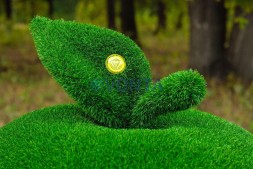 Топиари яблоко — газон Eco