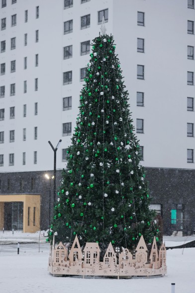 Ель ствольная «Альпийская» - 6,5 м