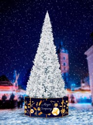 Ель ствольная «Альпийская» Белая - 4 м