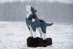 Топиари волк на камне — газон Eco