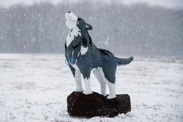 Топиари волк на камне — газон Eco