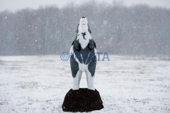 Топиари волк на камне — газон Eco