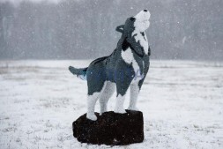 Топиари волк на камне — газон Eco