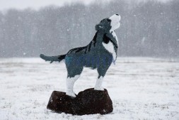 Топиари волк на камне — газон Eco