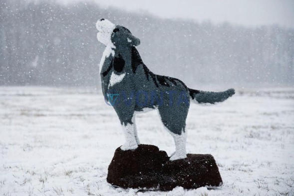 Топиари волк на камне — газон Eco