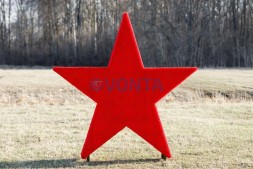 Топиари звезда — газон Eco