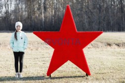 Топиари звезда — газон Eco