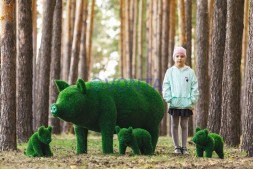 Топиари композиция поросята мама и детки, 4 шт — газон Eco