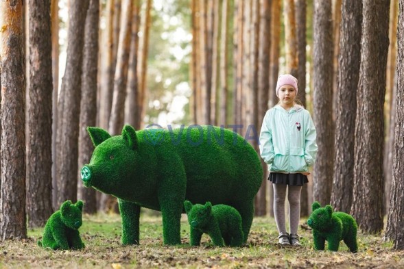 Топиари композиция поросята мама и детки, 4 шт — газон Eco