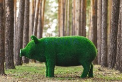 Топиари композиция поросята мама и детки, 4 шт — газон Eco