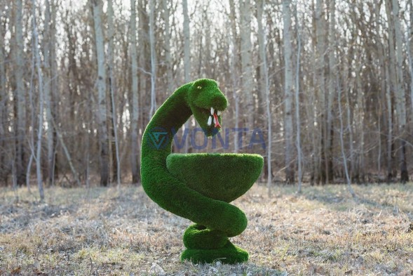 Топиари гиппократова чаша — газон Deluxe