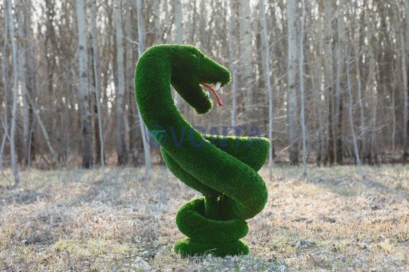 Топиари гиппократова чаша — газон Deluxe