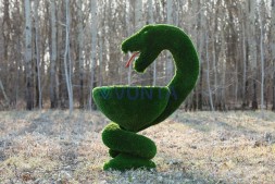 Топиари гиппократова чаша — газон Deluxe