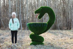 Топиари гиппократова чаша — газон Deluxe