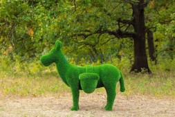 Топиари композиция ослики с телегой — газон Eco