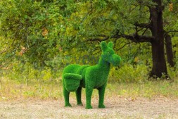 Топиари композиция ослики с телегой — газон Eco