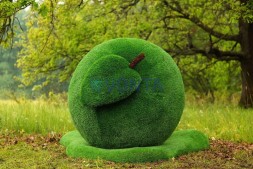 Топиари яблоко Синап — газон Eco Green
