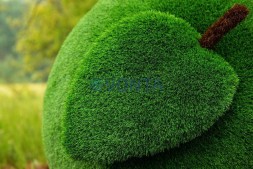 Топиари яблоко Синап — газон Eco Green